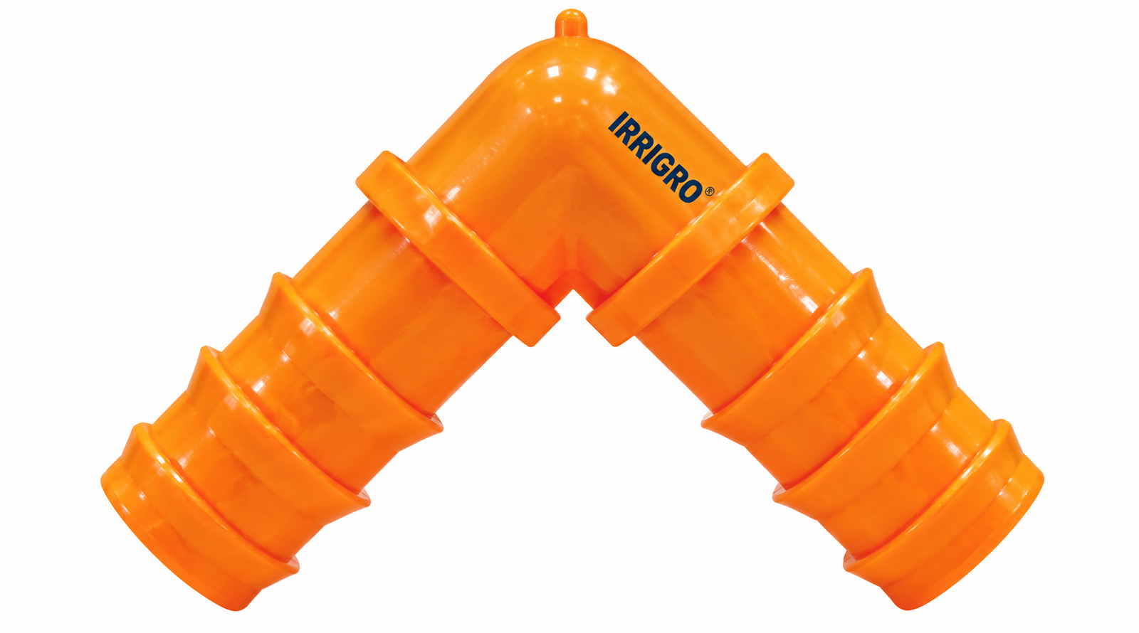 Lateral Elbow